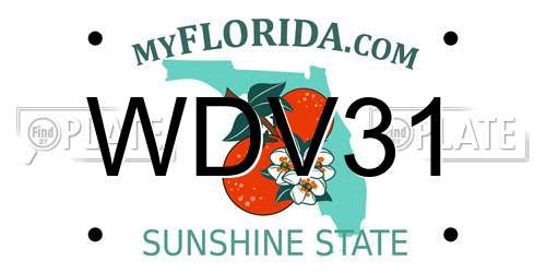 WDV31 Florida License Plate