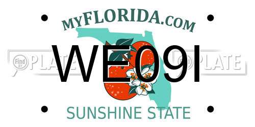 WE09I Florida License Plate