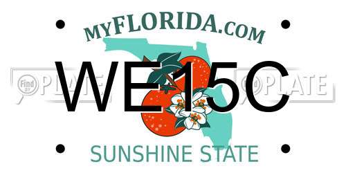 WE15C Florida License Plate