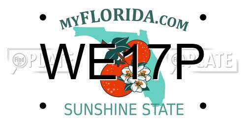 WE17P Florida License Plate