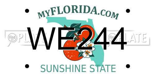 WE244 Florida License Plate