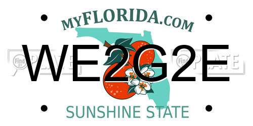 WE2G2E Florida License Plate
