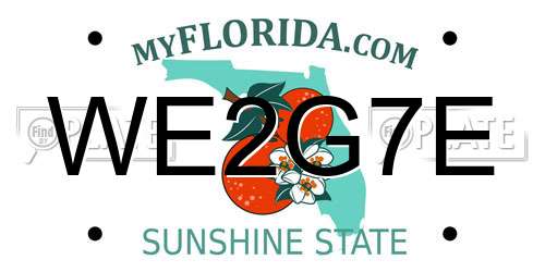 WE2G7E Florida License Plate