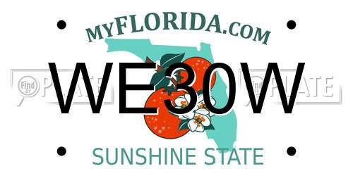 WE30W Florida License Plate