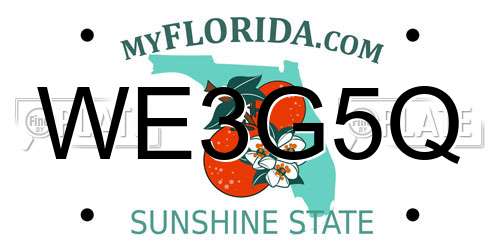 WE3G5Q Florida License Plate