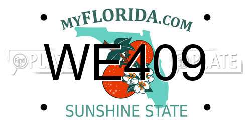 WE409 Florida License Plate