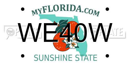 WE40W Florida License Plate