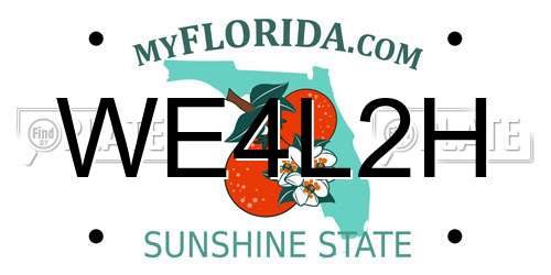 WE4L2H Florida License Plate