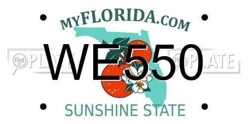WE550 Florida License Plate
