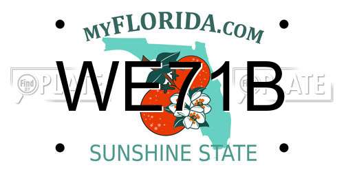 WE71B Florida License Plate
