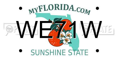 WE71W Florida License Plate