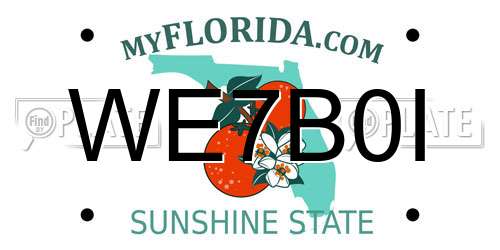 WE7B0I Florida License Plate