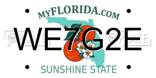 WE7G2E Florida License Plate