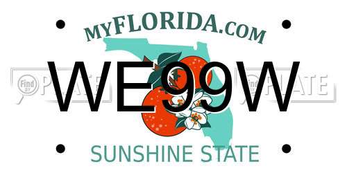 WE99W Florida License Plate