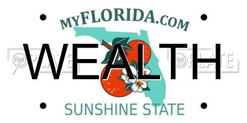 WEALTH Florida License Plate