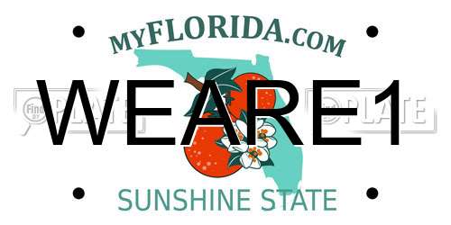 WEARE1 Florida License Plate