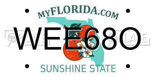 WEE68O Florida License Plate
