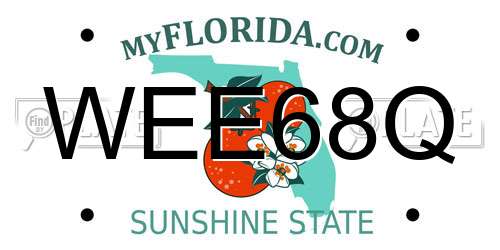 WEE68Q Florida License Plate