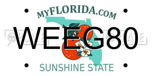 WEEG80 Florida License Plate
