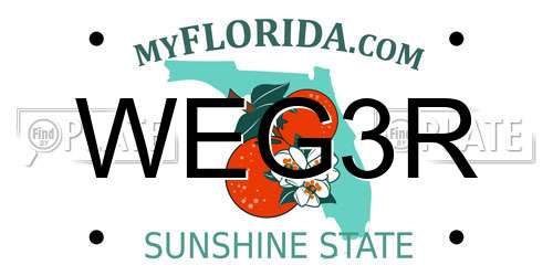 WEG3R Florida License Plate