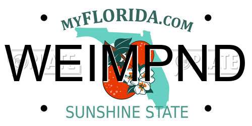 WEIMPND Florida License Plate