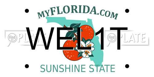 WEL1T Florida License Plate