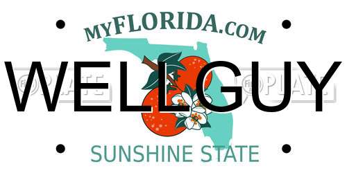 WELLGUY Florida License Plate