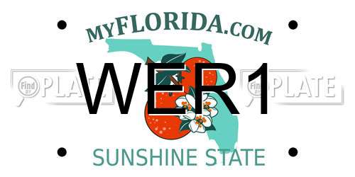 WER1 Florida License Plate