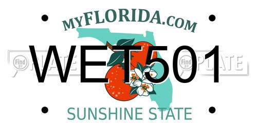 WET501 Florida License Plate