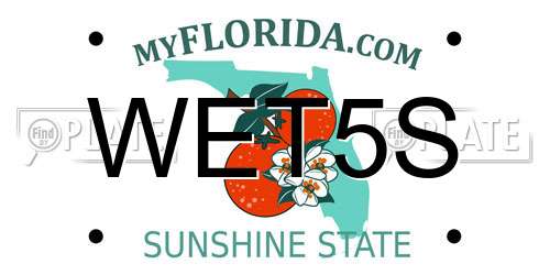 WET5S Florida License Plate