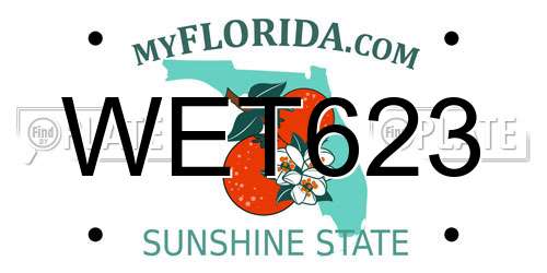 WET623 Florida License Plate
