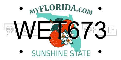 WET673 Florida License Plate