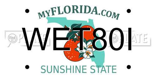 WET80I Florida License Plate