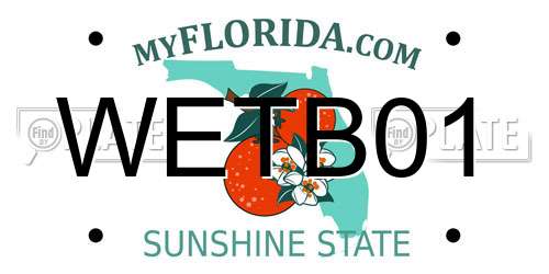 WETB01 Florida License Plate