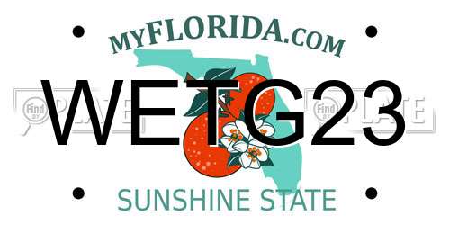 WETG23 Florida License Plate