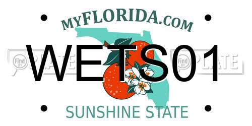 WETS01 Florida License Plate