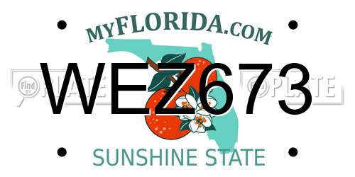 WEZ673 Florida License Plate