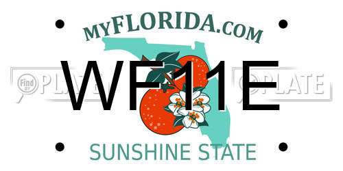 WF11E Florida License Plate
