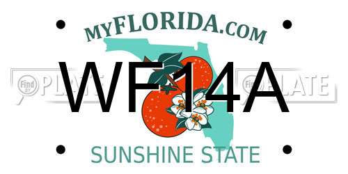 WF14A Florida License Plate