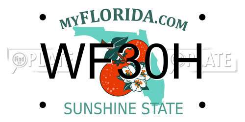 WF30H Florida License Plate