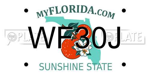 WF30J Florida License Plate