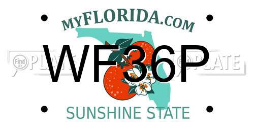 WF36P Florida License Plate