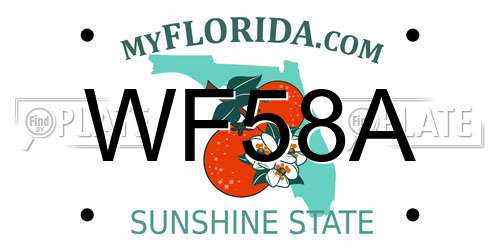 WF58A Florida License Plate