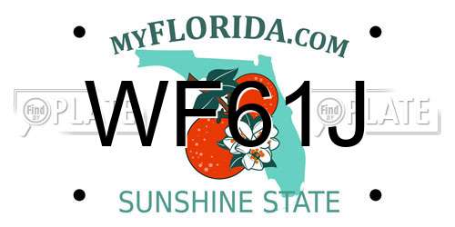 WF61J Florida License Plate