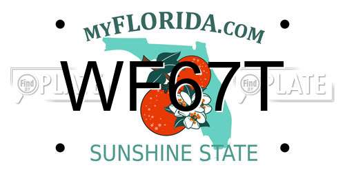 WF67T Florida License Plate