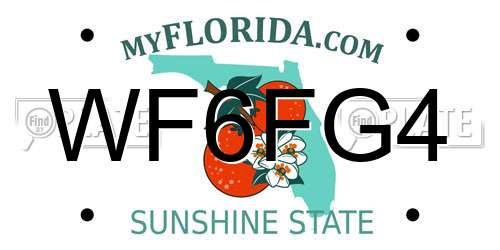 WF6FG4 Florida License Plate