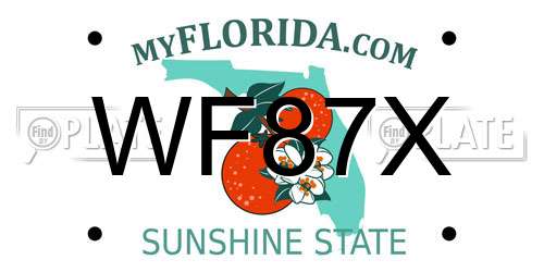 WF87X Florida License Plate