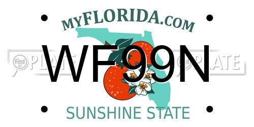 WF99N Florida License Plate