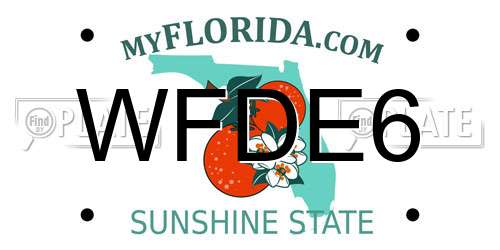 WFDE6 Florida License Plate