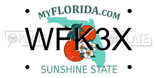 WFK3X Florida License Plate